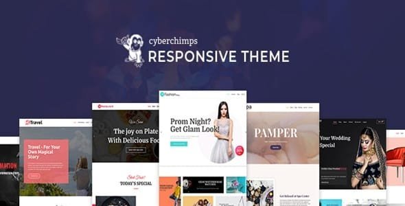 CyberChimps Responsive Pro WP Theme